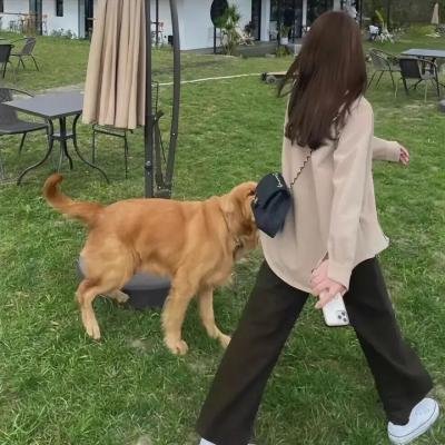 萝榭与弗兰克